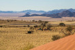 Namibie - Réserve naturelle de Namibrand - Toktokkie Trails