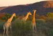 Namibie - Okonjima