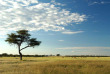 Namibie - Otjiwarongo - Frans Indongo Lodge