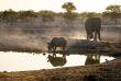 Namibie - Parc National d'Etosha ©Shutterstock, 2630Ben 