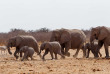 Namibie - Parc national d'Etosha - Elephants ©Shutterstock, Benny Marty