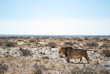 Namibie - Parc National d'Etosha, Safari au Etosha Safari Camp ©Gondwana Collection