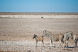 Namibie - Parc National d'Etosha, Safari au Etosha Safari Camp ©Gondwana Collection