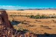 Namibie - Sesriem - Excursion sur la réserve du Namib Desert Lodge