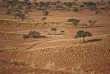Namibie - Sesriem - Excursion sur la réserve du Namib Desert Lodge