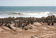 Namibie - Skeleton Coast - Shipwreck Lodge - Natural Selection 