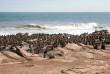 Namibie - Skeleton Coast - Shipwreck Lodge - Natural Selection