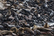 Namibie - Skeleton Coast ©Shutterstock, Oleg Znamenskiy