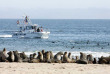 Namibie - Walvis Bay - Croisière en bateau