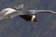 Equateur - Andes