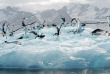 Croisières PONANT - Antarctique - L'Antarctique Emblématique © Studio Ponant