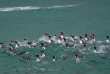 Croisières PONANT - Antarctique - Expédition sur les traces de Scott et Shackleton © Studio Ponant