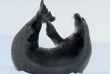 Croisières PONANT - Antarctique - La Grande Boucle Australe © Studio Ponant