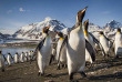 Croisières PONANT - Antarctique - La Grande Boucle Australe © Studio Ponant