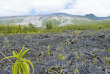 La Réunion - Volcan © IRT - Louise Canovas