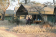 Tanzanie - Serengeti centre - Kati Kati Camp