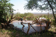 Tanzanie - Serengeti ouest - Mbalageti Tented Camp