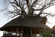 Tanzanie - Tarangire River Camp @ Louis Escober