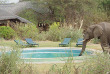 Tanzanie - Tarangire - Roika Tented Lodge