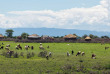 Tanzanie - Lake Manyara © Shutterstock, vadim petrakov