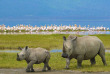 Tanzanie - Ngorongoro ©Shutterstock, sivanadar