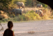 Tanzanie - Ruaha - Jongomero Camp