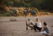 Tanzanie - Ruaha - Jongomero Camp