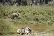 Tanzanie - Ruaha - Kichaka Expeditions - Safari à pied