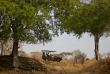 Tanzanie - Ruaha - Ruaha River Lodge