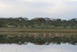 Tanzanie - Serengeti sud (Zone de Conservation du Ngorongoro) - Lake Masek Tented Camp