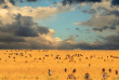 Tanzanie - Serengeti © Shutterstock, lorimer images