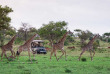 Tanzanie - Grumeti Hills