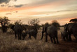 Tanzanie - Tarangire National Park