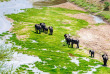 Tanzanie - Tarangire National Park