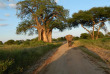 Tanzanie - Tarangire National Park - Maweninga Camp