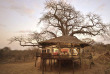 Tanzanie - Flying-safari Elewana - Tarangire Treetops