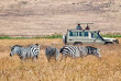 Tanzanie - Ngorongoro ©Shutterstock, luisa puccini