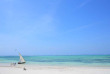 Tanzanie - Zanzibar - BlueBay Beach Resort and Spa - Plage