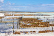 Tanzanie - Zanzibar - Excursion à la demi-journée à Seaweed Center ©Shutterstock, Sd Fotografie