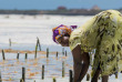 Tanzanie - Zanzibar - Excursion à la demi-journée à Seaweed Center ©Shutterstock, Daniela Mihaylova