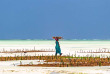 Tanzanie - Zanzibar - Excursion à la demi-journée à Seaweed Center ©Shutterstock, Marius Dobilas