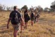 Zimbabwe - Hwange National Park - camp mobile Kazuma Trails