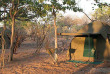 Zimbabwe - Hwange National Park - camp mobile Kazuma Trails - version semi-luxe