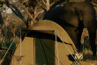 Zimbabwe - Hwange National Park - camp mobile Kazuma Trails - version semi-luxe