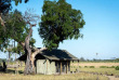 Zimbabwe - Hwange - Davison's Camp Wilderness
