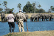 Best of Zimbabwe en version luxe - Hwange - Davison's Camp