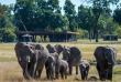 Zimbabwe - Hwange - Davison's Camp Wilderness