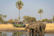 Zimbabwe - Hwange - Davison's Camp Wilderness