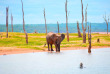 Zimbabwe - Lac Kariba - Croisière et safari ©Croisieurope