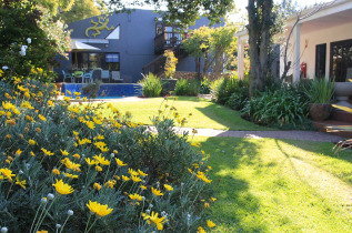 Afrique du Sud - Johannesburg - Lucky Bean Guesthouse - Jardin